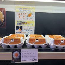 ayktshさんの写真