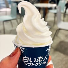 mamapapanさんの写真