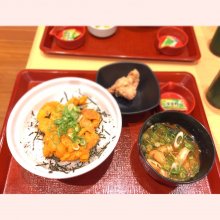 TANUKI_SHIGARAKIさんの写真