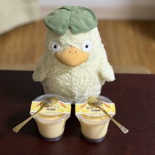 kurokiさんの写真