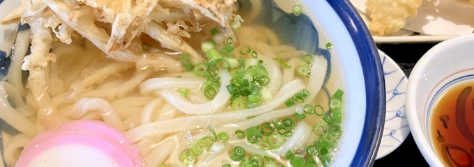 本格讃岐うどん　けんたろう