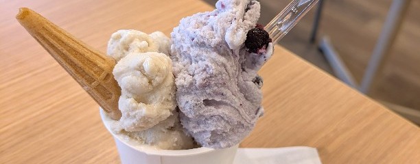 ミルクアイスMO-MO