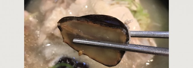 東菜参鶏湯
