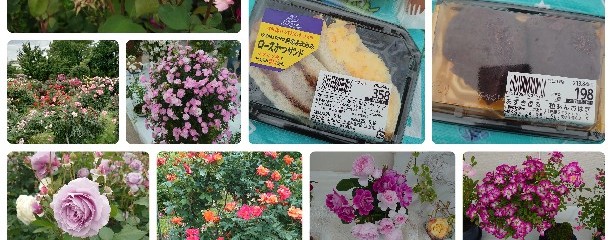 ヤオコー 藤沢柄沢店
