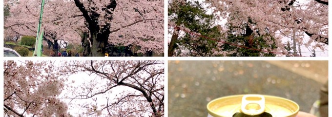 緑ヶ丘霊園