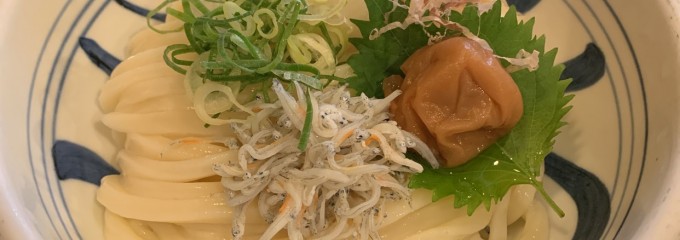 讃岐うどん 蔵之介