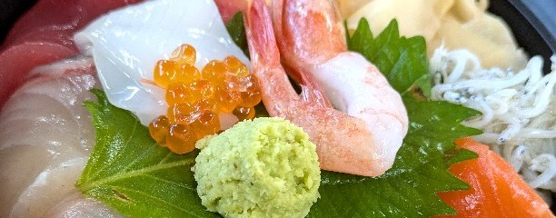 大津漁協直営　市場食堂