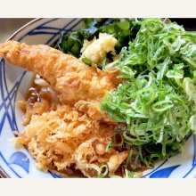 d9_9bさんの写真