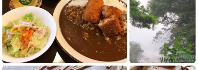 ハイビスカス