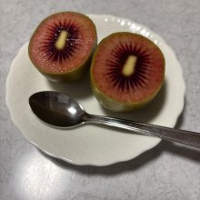 tsh1さんの写真