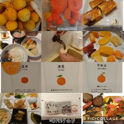 道後やや 旅館 道後やや 旅館