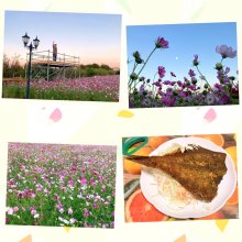 orioriさんの写真