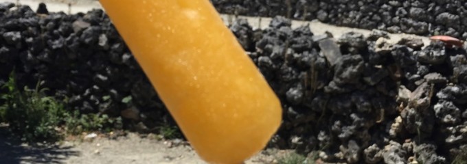 たきどぅん