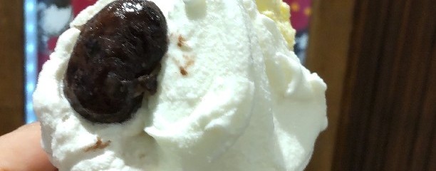 centotto gelato(ﾁｪﾝﾄｯﾄｼﾞｪﾗｰﾄ)