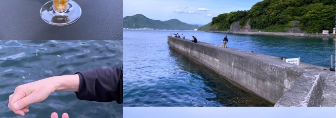 ミニストップ 沼津内浦店