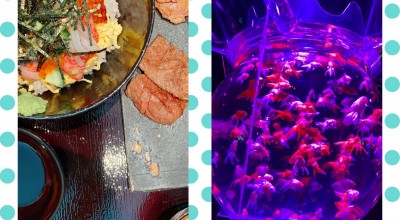 肉割烹 Kintan コレド室町 三越前駅 焼肉 ホルモン