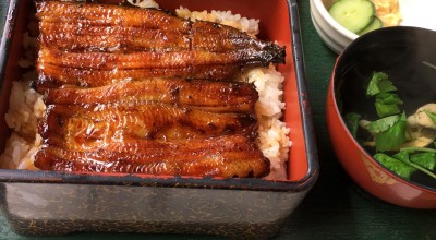 柳光亭 伊豆 熱海 三島 大仁 うなぎ どじょう