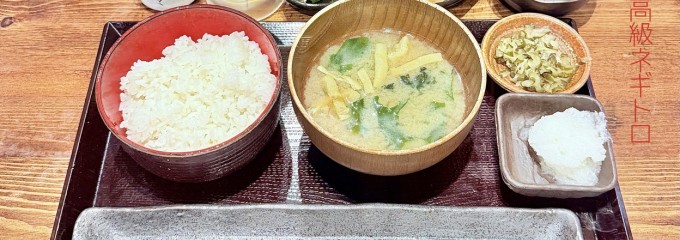 シンパチショクドウ ウィングカミオオオカテン