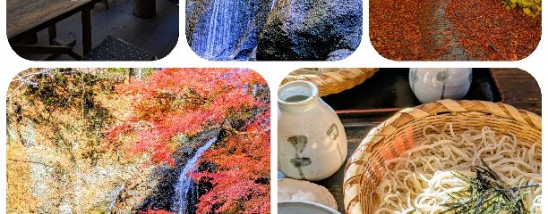 月待の滝もみじ苑