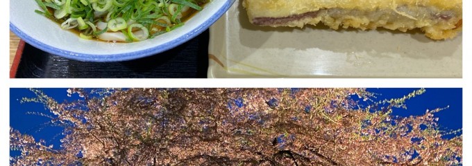 セルフうどんの店 竹清 広島LECT店