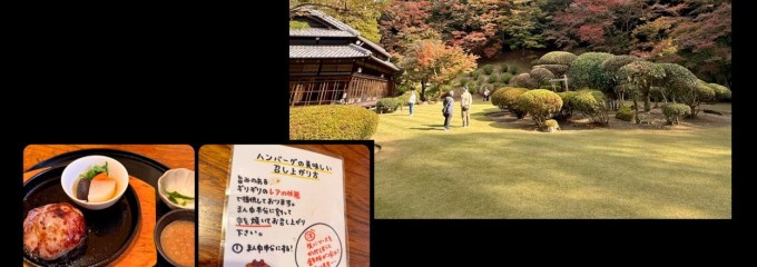 お茶とお食事処  森山