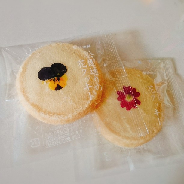 菓心亭かまだ 子安店 上越 妙高 糸魚川 高田 新潟 洋菓子