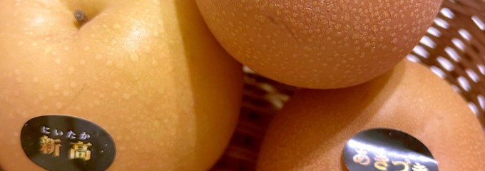 フルーツランド 白根グレープガーデン