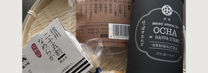 VISON［ヴィソン］日本最大級の商業リゾート施設