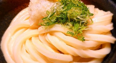 うどん居酒屋 江戸堀 江戸堀 肥後橋駅 うどん