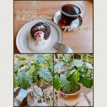 every_smileさんの写真