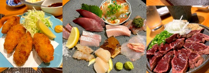 魚酒肴くぅ