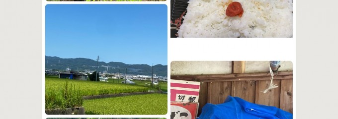 （株）花むら 和佐店