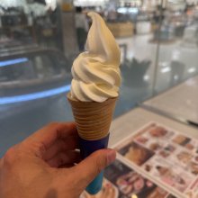 Shiraさんの写真