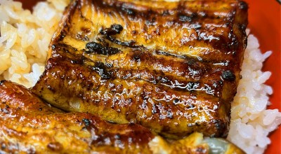 うな正 秋葉原 水道橋 神田 神田 東京 うなぎ どじょう