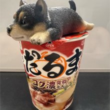 yoshisoさんの写真