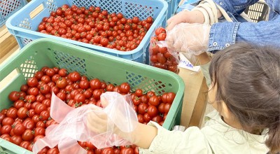 高野尾花街道 朝津味 フードコート 下庄駅 定食 食堂