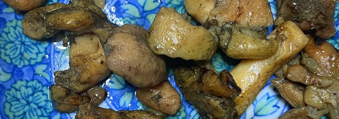 コープみやざき 大塚店