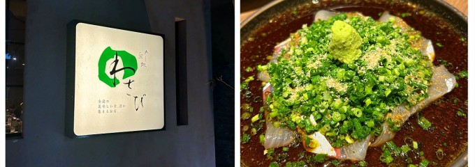 めし・魚処 わさび