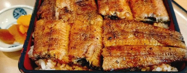 炭火焼うなぎ南家