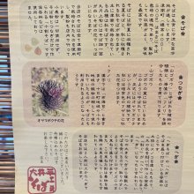 FA700さんの写真