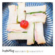 kamd60さんの写真