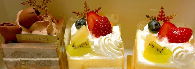 アンテノール　 北千住マルイ店