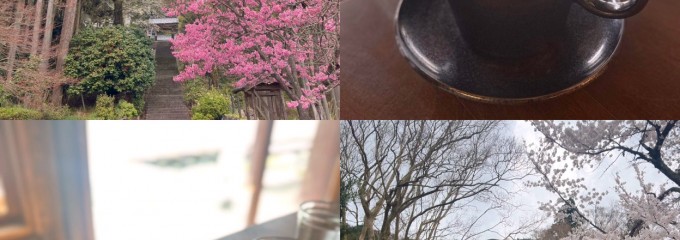 THEE COFFEE 自家焙煎ジャズ喫茶