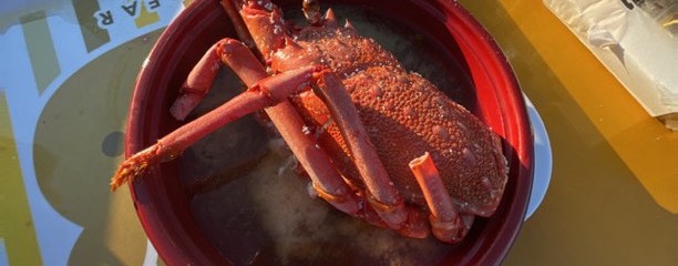 大原漁港 港の朝市