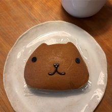 hito__ginさんの写真