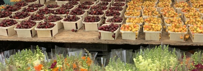 Union Square Greenmarket