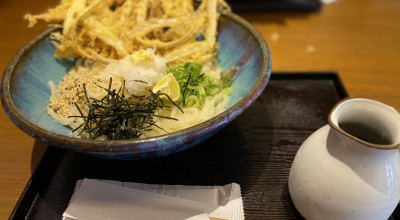 うどん屋 麺之介 大阪店 日本橋駅 うどん