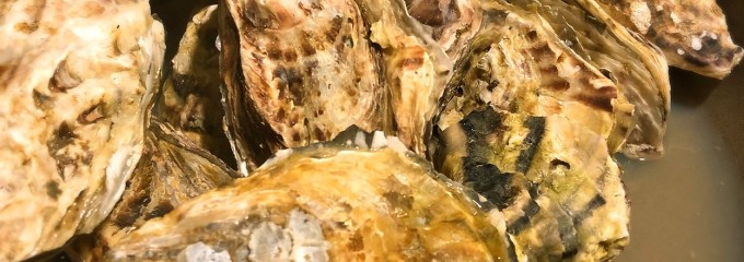 蔵之助‐kuranosuke‐ 豊橋店