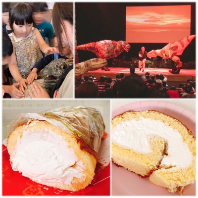 かずみ 洋菓子 日立 北茨城 常陸太田 常陸多賀 ケーキ ドーナツ かずみ 洋菓子 日立 北茨城 常陸太田 常陸多賀 ケーキ ドーナツ