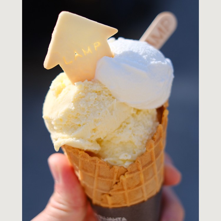 おいしいジェラートヤサン Lamp アイスクリーム